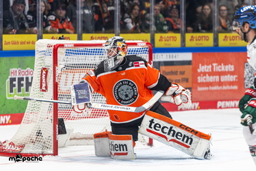 Löwen Frankfurt - Augsburger Panther - 25.11.25 - 069