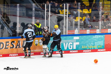 Löwen Frankfurt - Augsburger Panther - 25.11.25 - 073