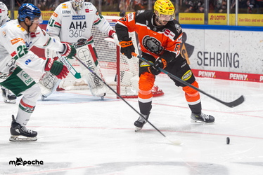 Löwen Frankfurt - Augsburger Panther - 25.11.25 - 077