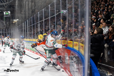 Löwen Frankfurt - Augsburger Panther - 25.11.25 - 091