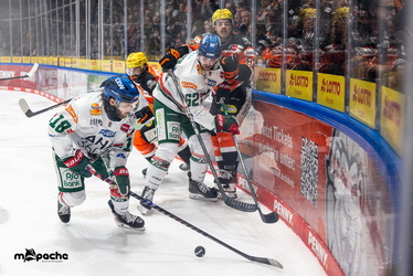 Löwen Frankfurt - Augsburger Panther - 25.11.25 - 092