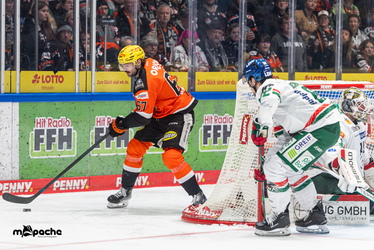 Löwen Frankfurt - Augsburger Panther - 25.11.25 - 094