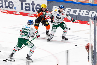 Löwen Frankfurt - Augsburger Panther - 25.11.25 - 107