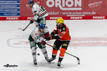 Löwen Frankfurt - Augsburger Panther - 25.11.25 - 109