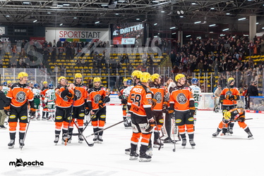 Löwen Frankfurt - Augsburger Panther - 25.11.25 - 111