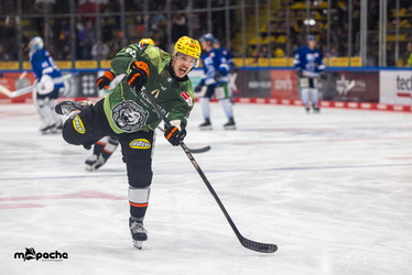 Löwen Frankfurt - Straubing Tigers- 230.11.25 - 003