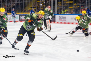 Löwen Frankfurt - Straubing Tigers- 230.11.25 - 004