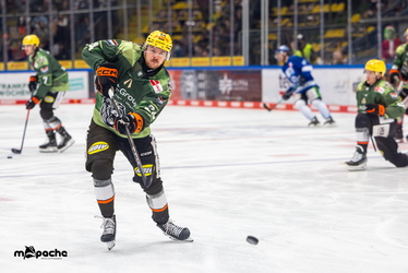 Löwen Frankfurt - Straubing Tigers- 230.11.25 - 005