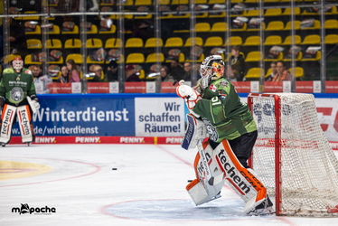 Löwen Frankfurt - Straubing Tigers- 230.11.25 - 006
