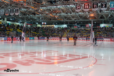 Löwen Frankfurt - Straubing Tigers- 230.11.25 - 008