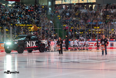 Löwen Frankfurt - Straubing Tigers- 230.11.25 - 010