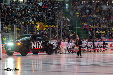 Löwen Frankfurt - Straubing Tigers- 230.11.25 - 011