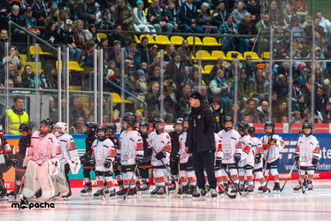 Löwen Frankfurt - Straubing Tigers- 230.11.25 - 012