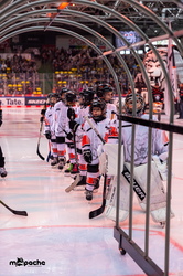 Löwen Frankfurt - Straubing Tigers- 230.11.25 - 013