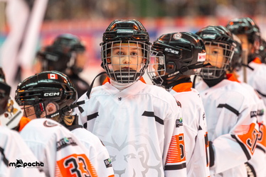 Löwen Frankfurt - Straubing Tigers- 230.11.25 - 016