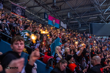 Löwen Frankfurt - Straubing Tigers- 230.11.25 - 018