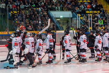 Löwen Frankfurt - Straubing Tigers- 230.11.25 - 023