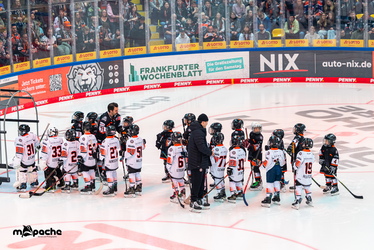 Löwen Frankfurt - Straubing Tigers- 230.11.25 - 025