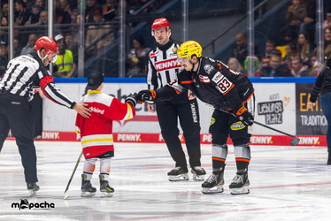 Löwen Frankfurt - Straubing Tigers- 230.11.25 - 030