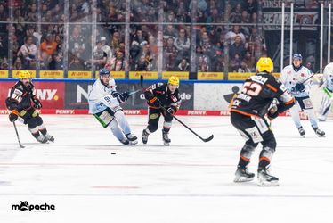 Löwen Frankfurt - Straubing Tigers- 230.11.25 - 033