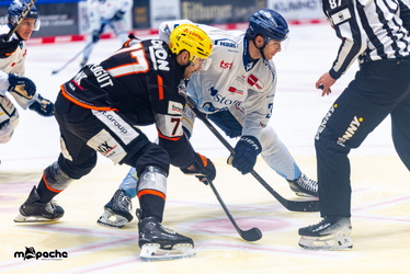 Löwen Frankfurt - Straubing Tigers- 230.11.25 - 035
