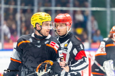Löwen Frankfurt - Straubing Tigers- 230.11.25 - 036