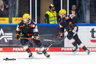 Löwen Frankfurt - Straubing Tigers- 230.11.25 - 039