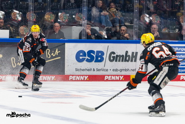 Löwen Frankfurt - Straubing Tigers- 230.11.25 - 041