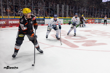 Löwen Frankfurt - Straubing Tigers- 230.11.25 - 042