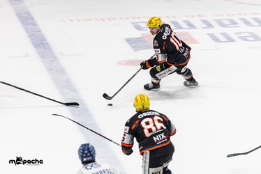 Löwen Frankfurt - Straubing Tigers- 230.11.25 - 046