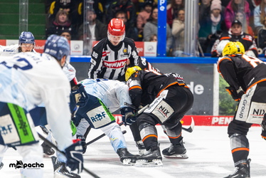 Löwen Frankfurt - Straubing Tigers- 230.11.25 - 049