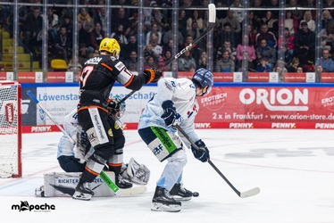 Löwen Frankfurt - Straubing Tigers- 230.11.25 - 050