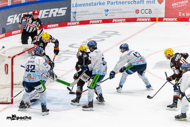 Löwen Frankfurt - Straubing Tigers- 230.11.25 - 051