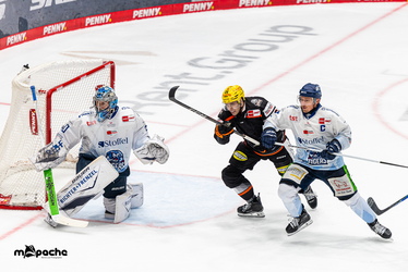 Löwen Frankfurt - Straubing Tigers- 230.11.25 - 052