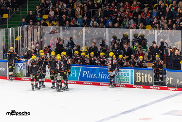 Löwen Frankfurt - Straubing Tigers- 230.11.25 - 056