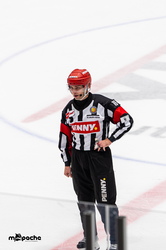 Löwen Frankfurt - Straubing Tigers- 230.11.25 - 057