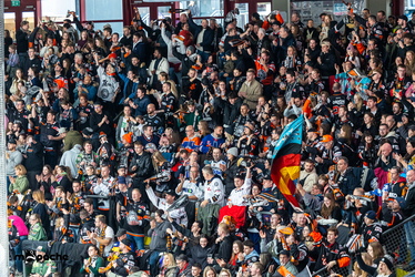 Löwen Frankfurt - Straubing Tigers- 230.11.25 - 059