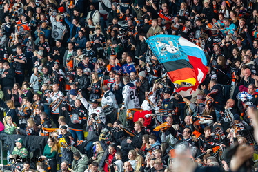 Löwen Frankfurt - Straubing Tigers- 230.11.25 - 060