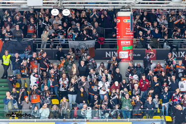 Löwen Frankfurt - Straubing Tigers- 230.11.25 - 061