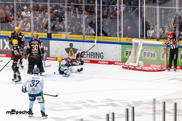 Löwen Frankfurt - Straubing Tigers- 230.11.25 - 065