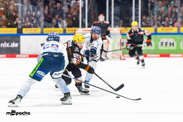 Löwen Frankfurt - Straubing Tigers- 230.11.25 - 067