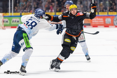 Löwen Frankfurt - Straubing Tigers- 230.11.25 - 068