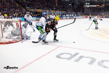 Löwen Frankfurt - Straubing Tigers- 230.11.25 - 069