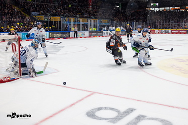 Löwen Frankfurt - Straubing Tigers- 230.11.25 - 070