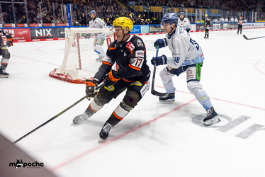 Löwen Frankfurt - Straubing Tigers- 230.11.25 - 071