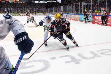 Löwen Frankfurt - Straubing Tigers- 230.11.25 - 072