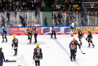 Löwen Frankfurt - Straubing Tigers- 230.11.25 - 073