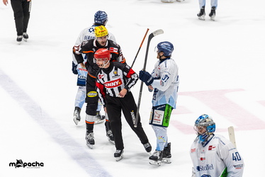 Löwen Frankfurt - Straubing Tigers- 230.11.25 - 074