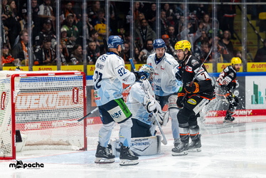 Löwen Frankfurt - Straubing Tigers- 230.11.25 - 079