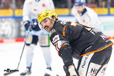 Löwen Frankfurt - Straubing Tigers- 230.11.25 - 081